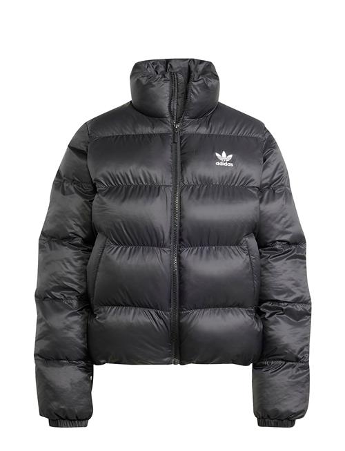 adidas Originals | Short Puffer | XL