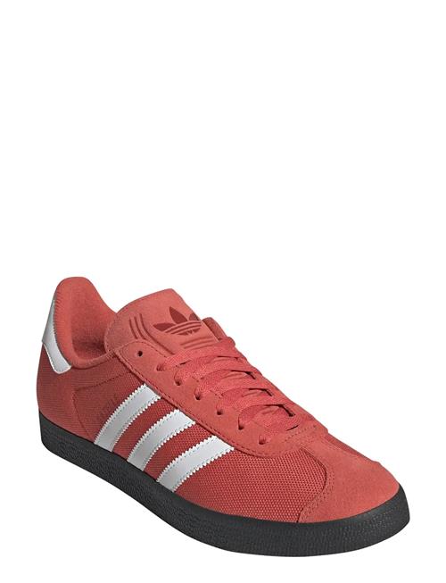 adidas Originals | Gazelle | 42 2/3