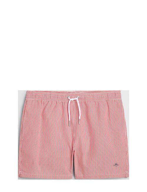 GANT | Seersucker Swim Shorts | L
