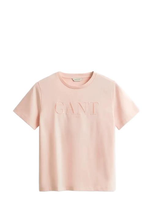 GANT | Reg Tonal Graphic Ss T-Shirt | XXL