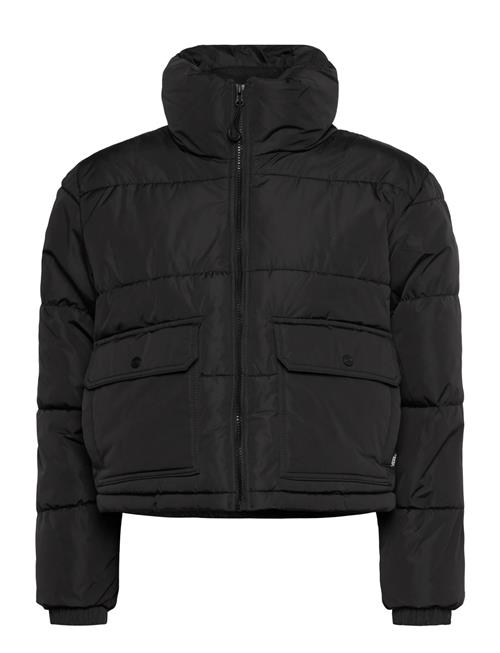 VANS | Mte Aubrey Primaloft Puffer | XS