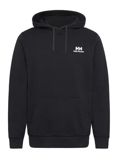 Helly Hansen | Core Graphic Hoodie | L