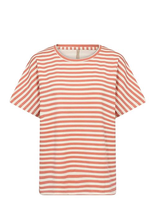 Soyaconcept | Sc-Barni | S