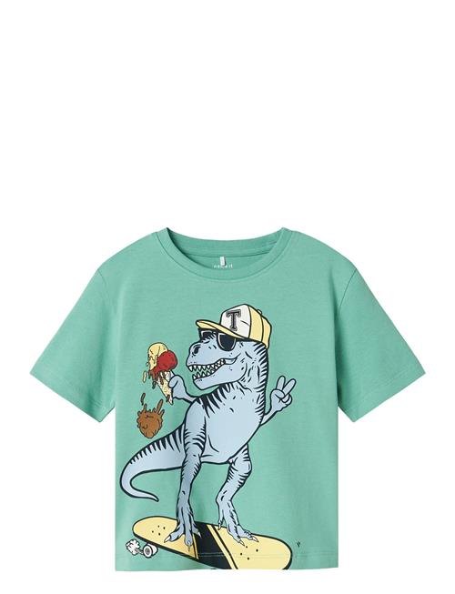 name it | Nmmdino Nreg Ss Top Box | 92