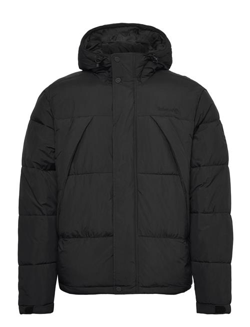Timberland | Durable Water Repellent Puffer Jacket | XL