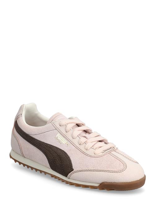 PUMA | Arizona Wine Club Wns | 37.5