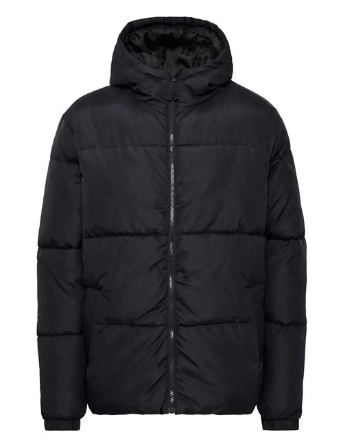 Blend | Bhelwin Hood Jacket | XL