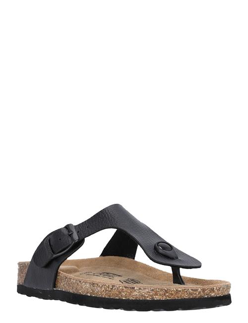 Cruz | Barns W Cork Sandal | 40
