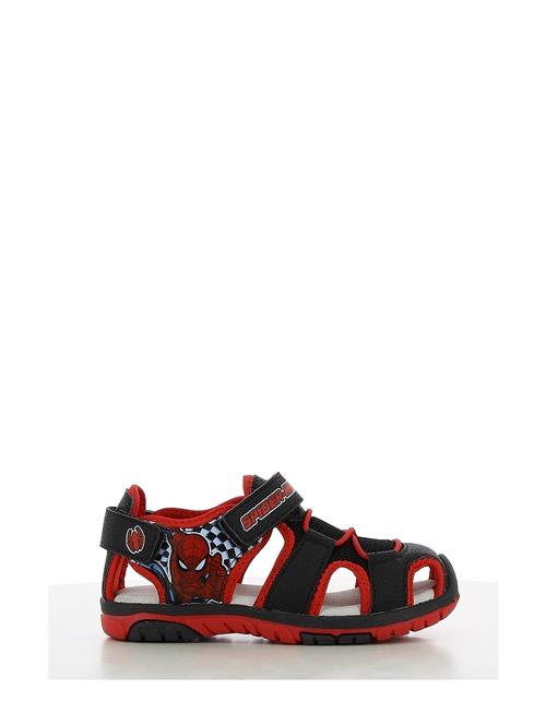 Leomil | Spiderman Sandal | 31