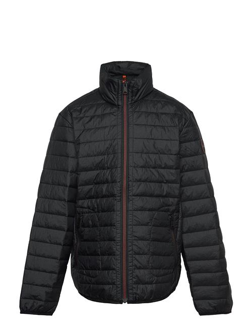 Napapijri | K A-Amiata | 168-172