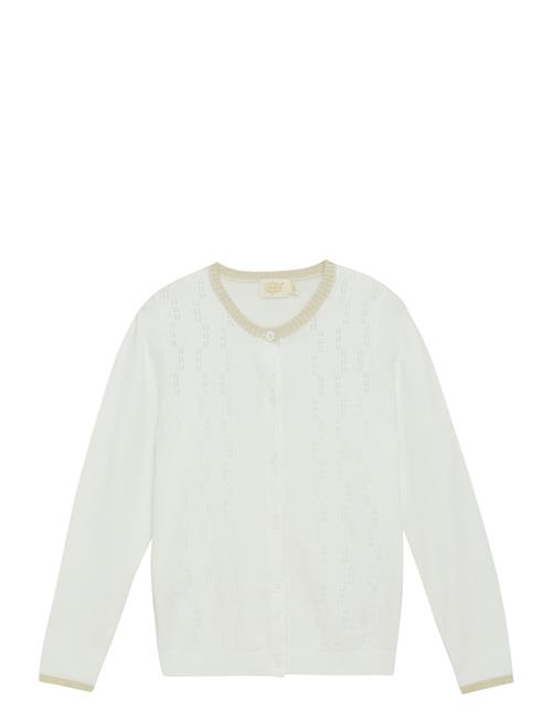 Creamie | Cardigan Pointelle | 122