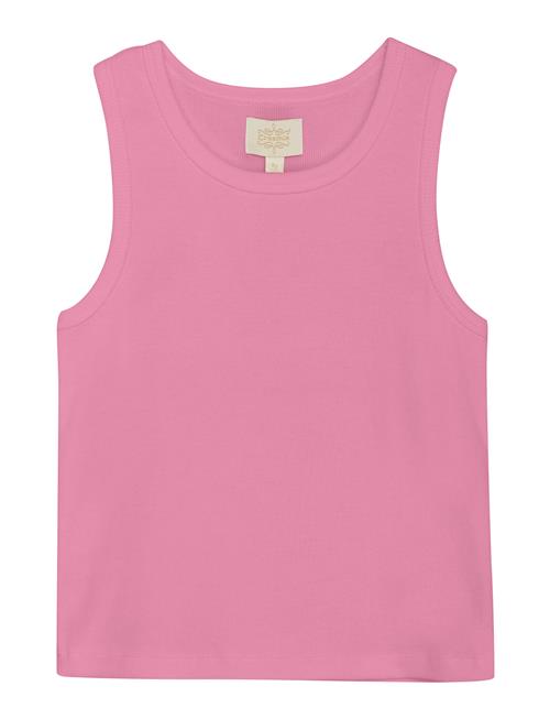 Creamie | Top Rib | 116