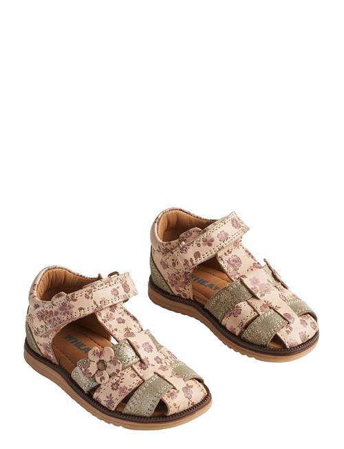 Wheat | Sandal Sky Flower | 21