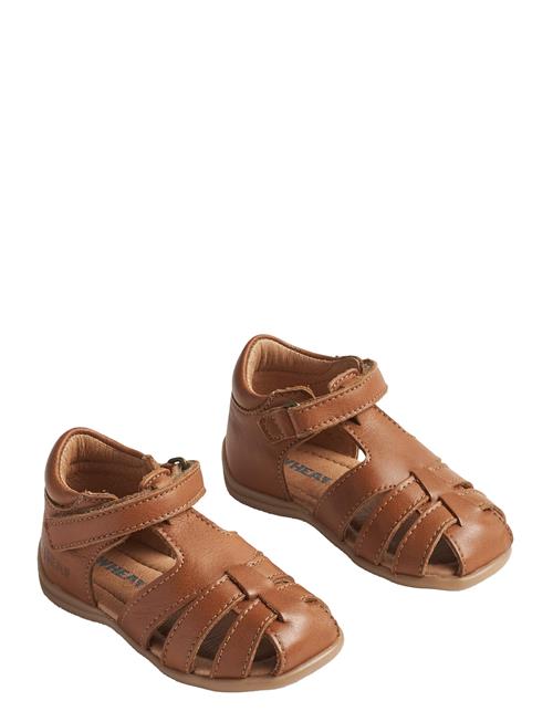 Wheat | Sandal Robbie | 25