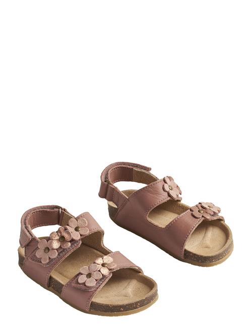 Wheat | Sandal Clare Flower | 24