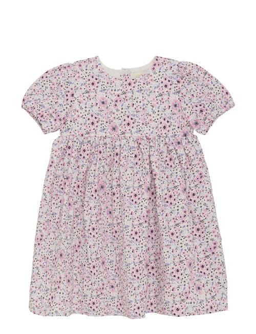 Creamie | Dress Structure | 104