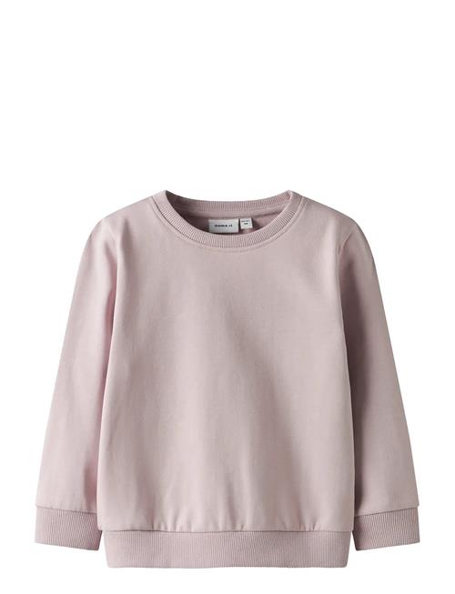 name it | Nmnseli Ls Swe Bru Noos | 86
