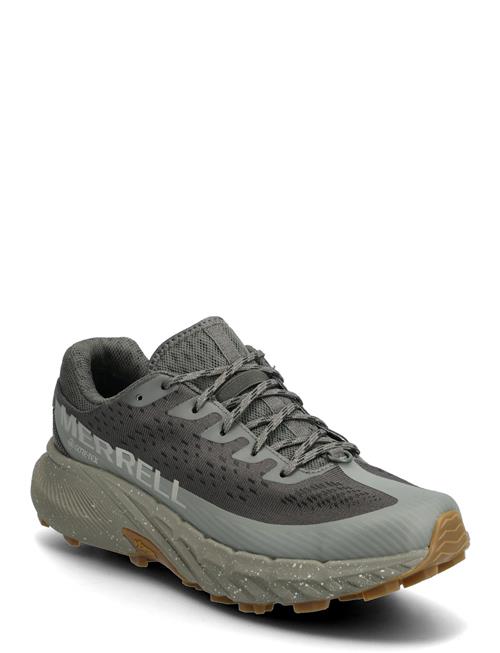 Merrell | Men's Agility Peak 5 Gtx - Beluga/T | 43