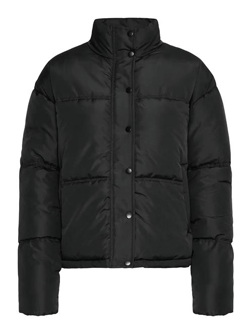 Fransa | Frebba Ja 1 | M