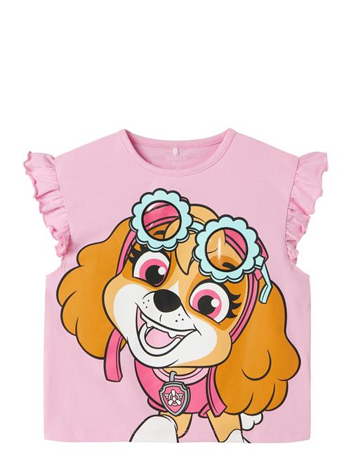 name it | Nmfmara Paw Capsl Nreg Top Box Cplg | 110