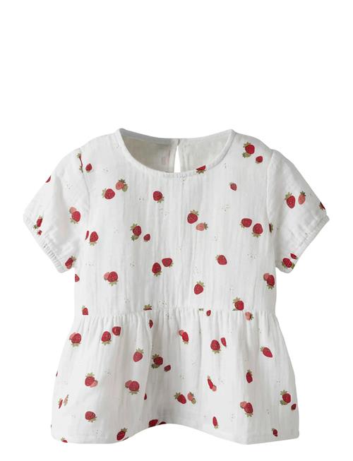 name it | Nmffornelia Ss Top | 104