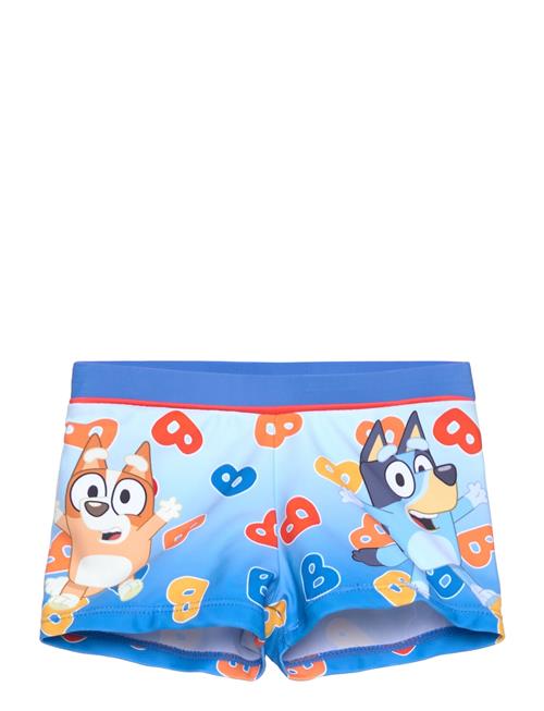 Bluey | Swimsuit | 110