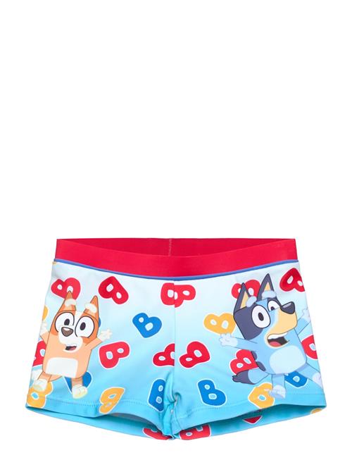 Bluey | Swimsuit | 104