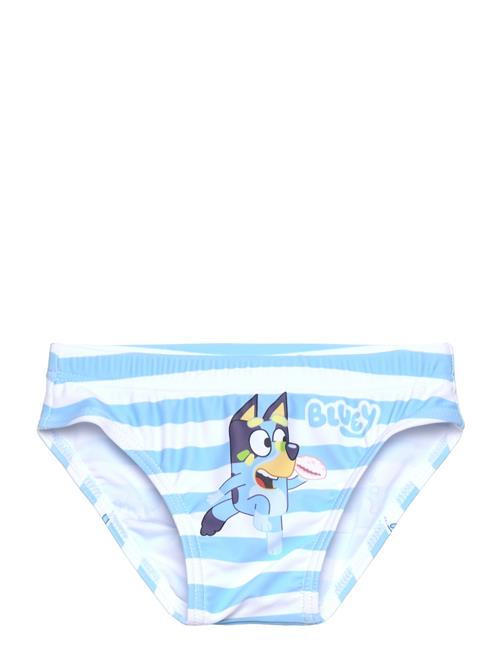Bluey | Swimsuit | 116