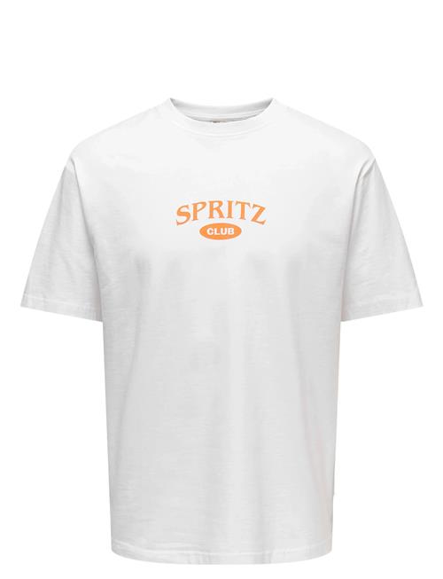 ONLY & SONS | Onsspritz Italy Rlx Ss Tee | XL