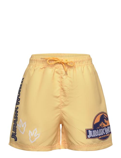 Sun City Jurassic Park | Swimsuit | 104