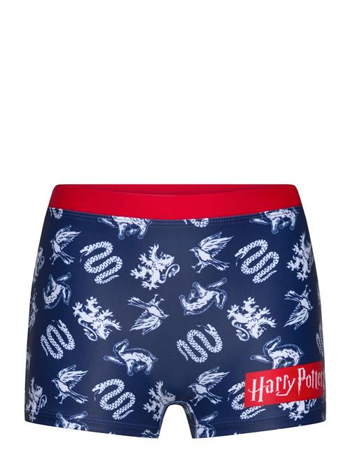Harry Potter | Swimsuit | 152