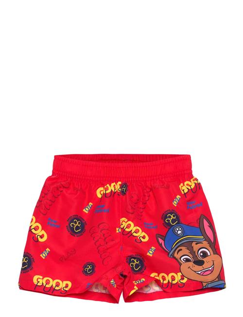 Paw Patrol | Swimsuit | 116
