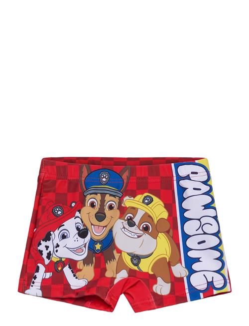 Paw Patrol | Swimsuit | 98