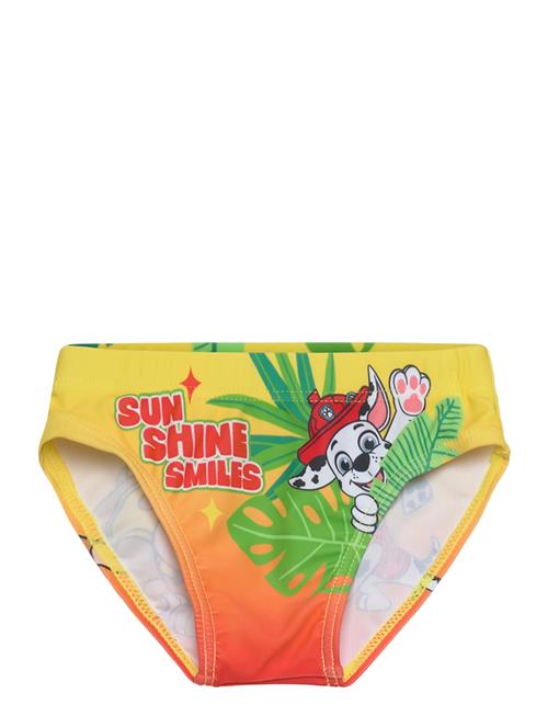 Paw Patrol | Swimsuit | 104
