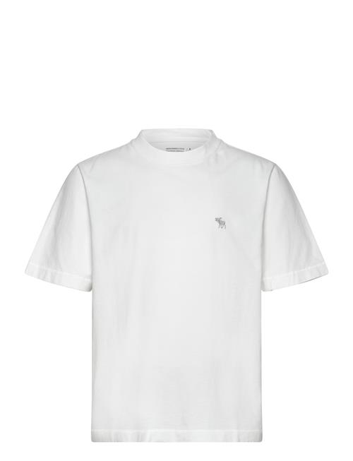 Abercrombie & Fitch | Anf Mens Knits | XS