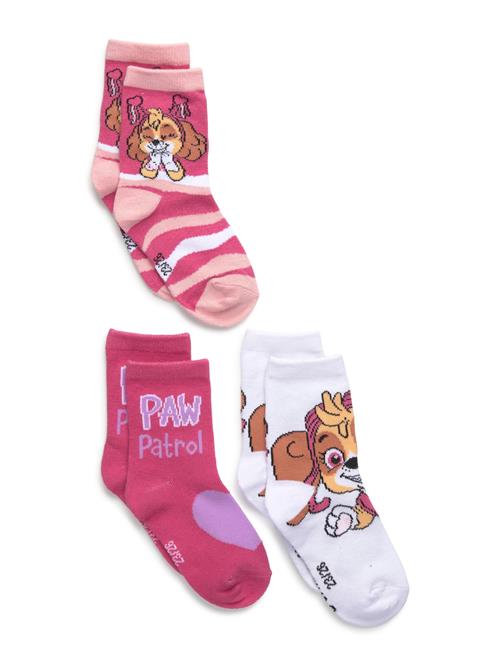 Paw Patrol | Socks | 27/30