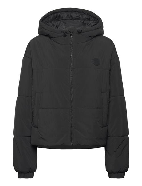 HUGO BLUE | Freya-1_B | XL