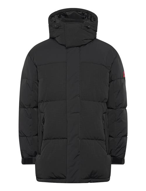 HUGO | Melmus2541 | L