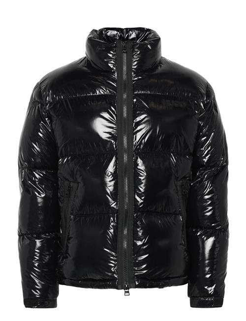 HUGO | Biron2541 | L