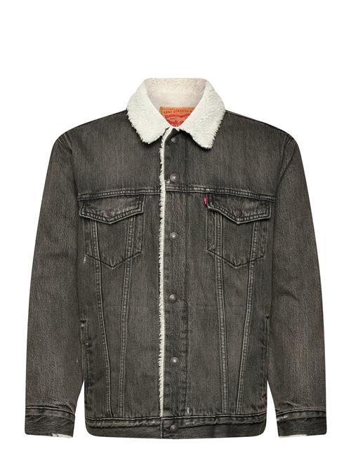 Levi's® | Relaxed Fit Sherpa Trkr Salt L | XL