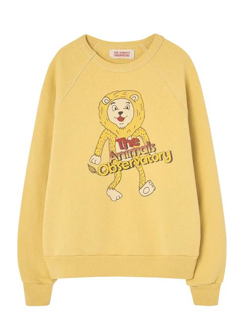 THE ANIMALS OBSERVATORY | Shark Kid Sweatshirt Yellow | 2 Y