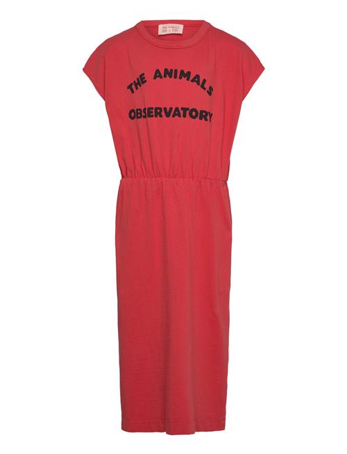 THE ANIMALS OBSERVATORY | Orca Kid Midi Dress Red | 4 Y