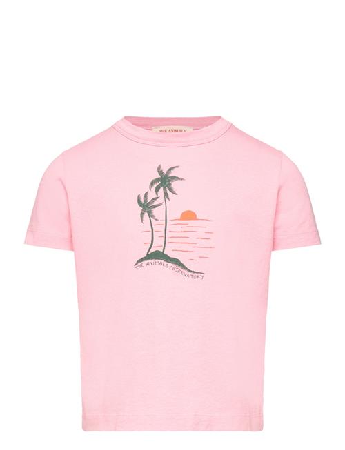 THE ANIMALS OBSERVATORY | Big Rooster Kid T-Shirt Pink 10Y | 2 Y