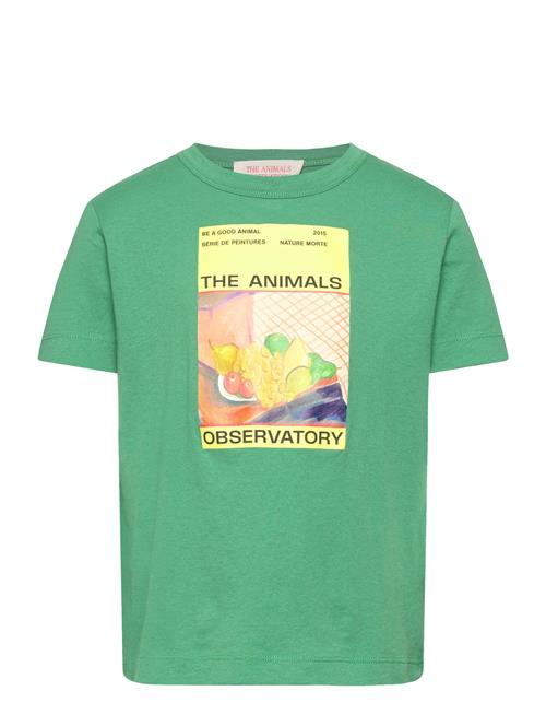 THE ANIMALS OBSERVATORY | Big Rooster Kid T-Shirt Green 6Y | 10 Y
