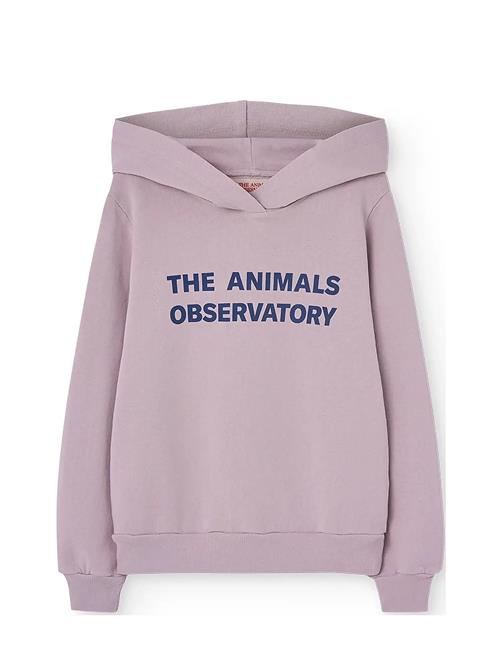 THE ANIMALS OBSERVATORY | Taurus Kid Hoodie Lavand | 2 Y