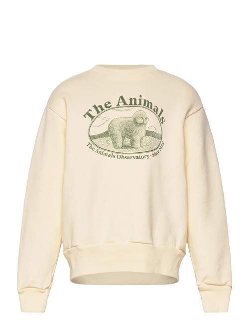 THE ANIMALS OBSERVATORY | Bear Kid Sweatshirt White Logo | 2 Y