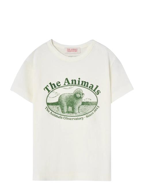 THE ANIMALS OBSERVATORY | Rooster Kid T-Shirt White Logo | 2 Y