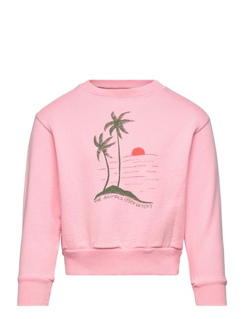 THE ANIMALS OBSERVATORY | Bear Kid Sweatshirt Pink | 14 Y