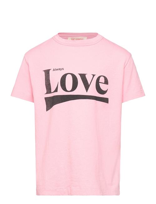 THE ANIMALS OBSERVATORY | Rooster Kid T-Shirt Pink | 6 Y