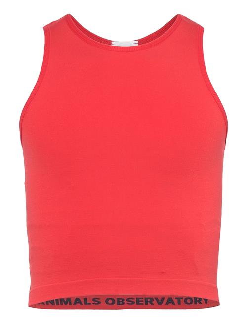 THE ANIMALS OBSERVATORY | Hyena Kid Tank Top Red | 45542